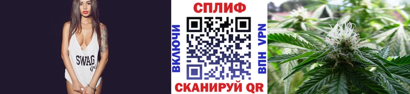 МАРИХУАНА планчик  Тайга 